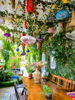 Sala Ho Tram Homestay & Villa có Khu vực sân vườn tổ chức BBq, ăn uống tụ tập dưới giàn lồng đèn rực rỡ sắc màu thoáng mát tại Hồ Tràm Vũng Tàu.
