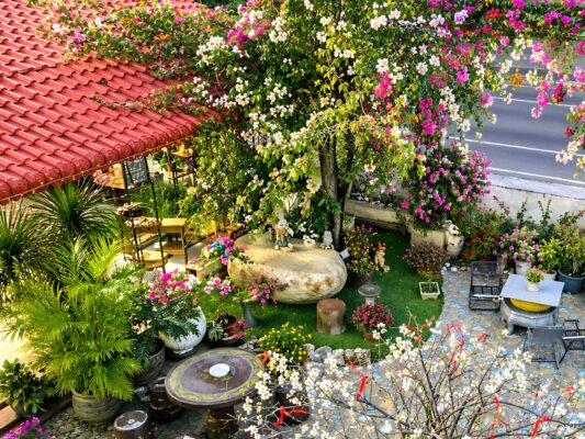 Biệt thự sân vườn sở hữu khuôn viên rộng rãi ngập tràn hoa giấy và cây xanh mát tại Hồ Tràm Vũng Tàu.